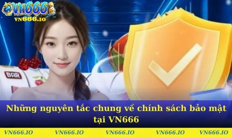 Những nguyên tắc chung về chính sách bảo mật tại VN666
